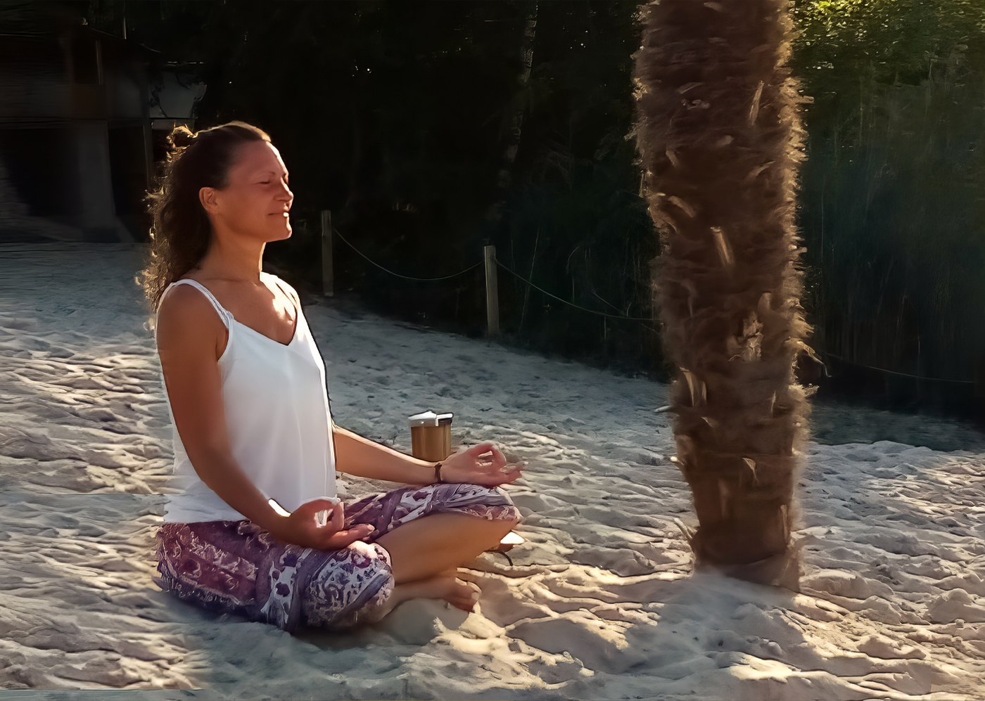 Meditation unter Palmen